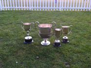 The magnificent Seven (Cup Finals)